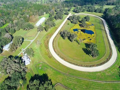 Florida Horse Farms Real Estate Specialist - Let us help you buy or sell your next Horse Farms Property