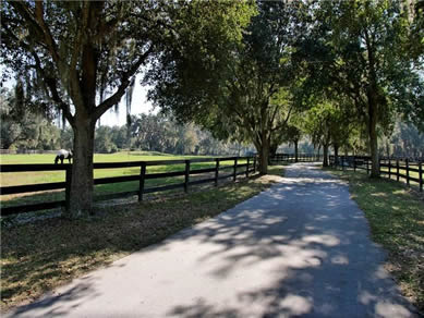 Florida Horse Farms Real Estate Specialist - Let us help you buy or sell your next Horse Farms Property