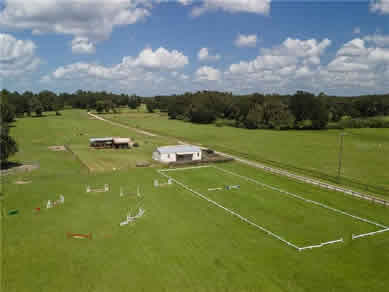 Florida Horse Farmss For Sale - Let us help you buy or sell your next Horse Farms