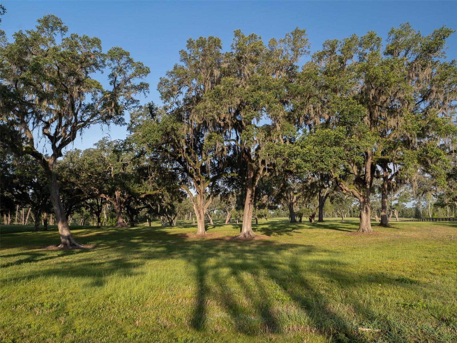 Luxury Horse Farm Parcel For Sale - 21 Acres - Ocala $3,177,000