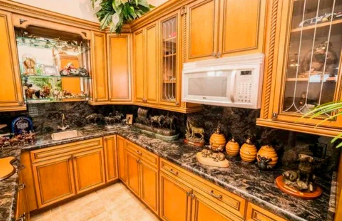8 Acre Luxury Lakefront Estate with Fenced Pastures for the Horses near Tampa, FL $4,900,000