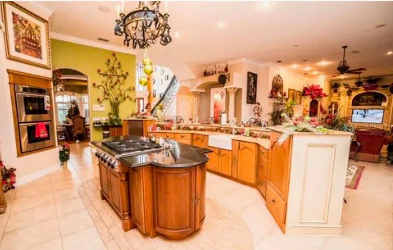 8 Acre Luxury Lakefront Estate with Fenced Pastures for the Horses near Tampa, FL $4,900,000