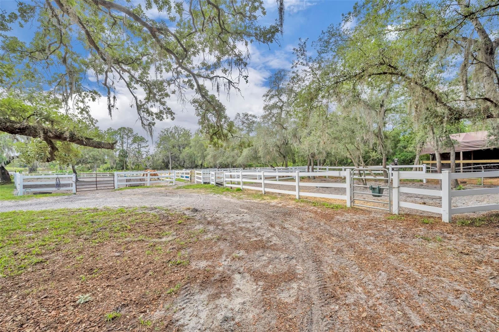 10 Acres Gates with 23 Stalls and 15 Paddocks For Sale in Geneva, FL $1,750,000