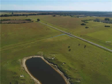 Florida Horse Farms Real Estate Specialist - Let us help you buy or sell your next Horse Farms Property