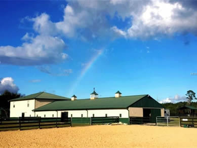 Florida Horse Farms Real Estate Specialist - Let us help you buy or sell your next Horse Farms Property