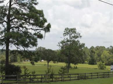 Florida Horse Farms Real Estate Specialist - Let us help you buy or sell your next Horse Farms Property