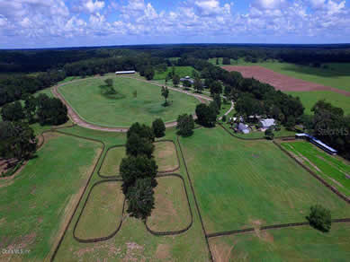 Florida Horse Farmss For Sale - Let us help you buy or sell your next Horse Farms