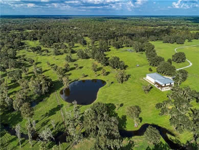 Florida Horse Farmss For Sale - Let us help you buy or sell your next Horse Farms