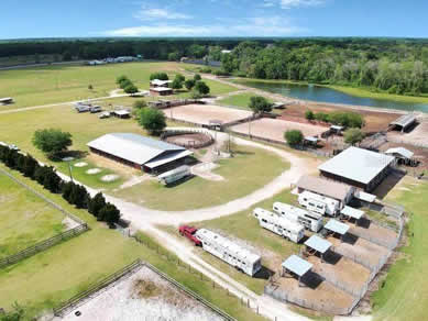 Florida Horse Farmss For Sale - Let us help you buy or sell your next Horse Farms