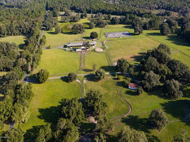 Florida Horse Farmss For Sale - Let us help you buy or sell your next Horse Farms