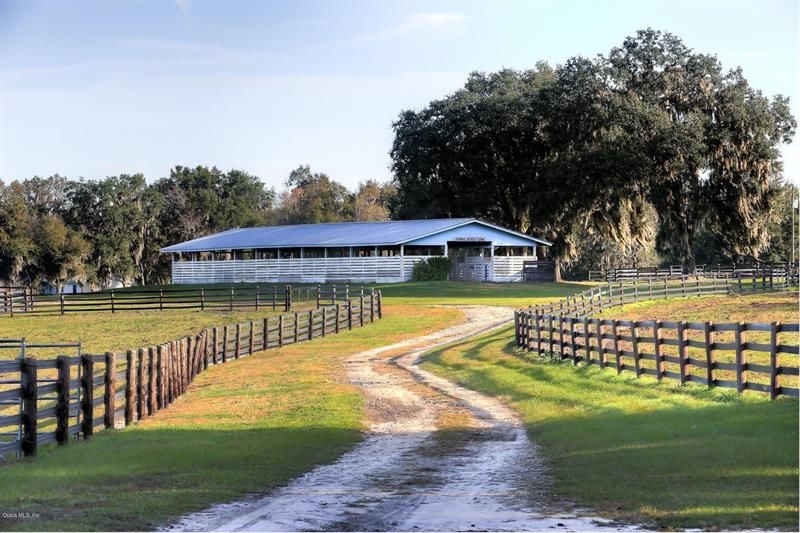 Horse Farm For Sale in Reddick, FL 80 Acres 1,370,000