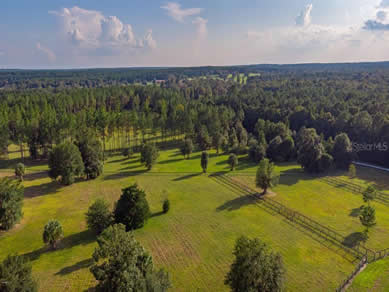 Florida Horse Farmss For Sale - Let us help you buy or sell your next Horse Farms