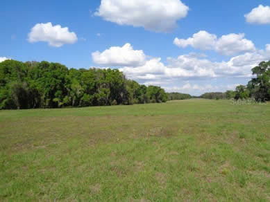 Florida Horse Farmss For Sale - Let us help you buy or sell your next Horse Farms