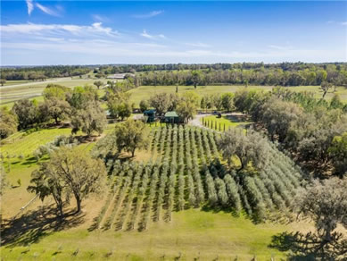 Florida Horse Farms Real Estate Specialist - Let us help you buy or sell your next Horse Farms Property