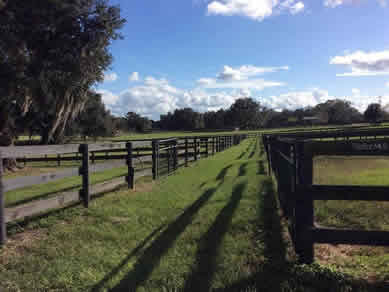 Florida Horse Farmss For Sale - Let us help you buy or sell your next Horse Farms