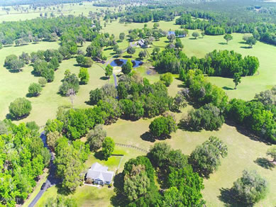 Florida Horse Farms Real Estate Specialist - Let us help you buy or sell your next Horse Farms Property