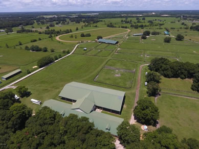 Florida Horse Farms Real Estate Specialist - Let us help you buy or sell your next Horse Farms Property