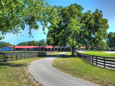 Florida Horse Farmss For Sale - Let us help you buy or sell your next Horse Farms