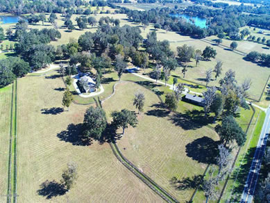 Florida Horse Farms Real Estate Specialist - Let us help you buy or sell your next Horse Farms Property