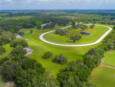 Florida Horse Farms Real Estate Specialist - Let us help you buy or sell your next Horse Farms Property