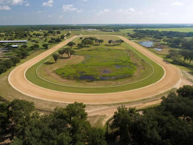 Florida Horse Farmss For Sale - Let us help you buy or sell your next Horse Farms